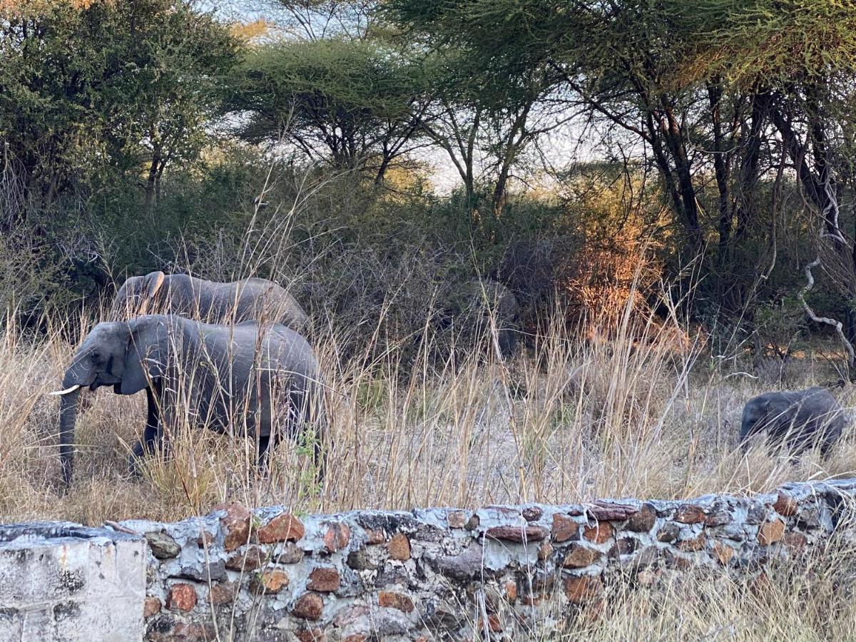 Big 5 Toro Lodge Kasane Kültér fotó