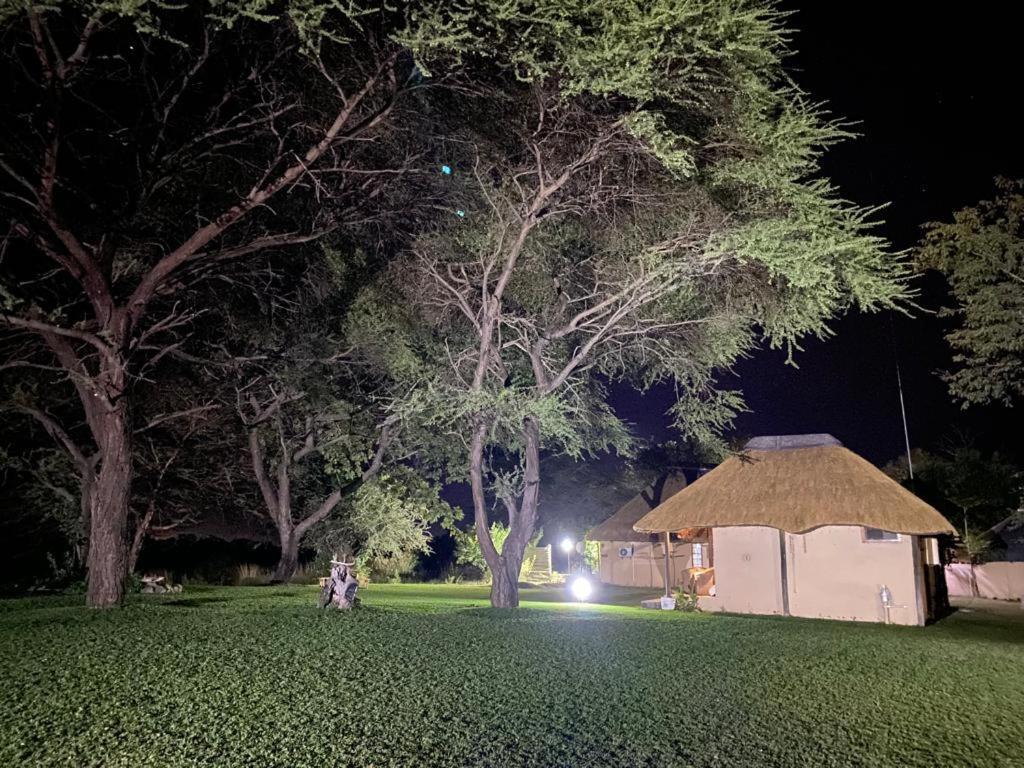 Big 5 Toro Lodge Kasane Kültér fotó